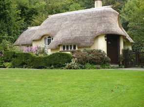 綠色清新唯美小屋 我愿一生在此度過